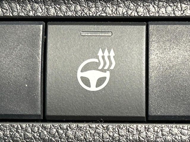 TOYOTA RAV4 4WD 2020 Image 31