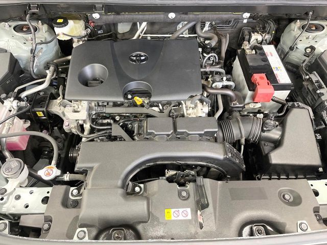 TOYOTA RAV4 4WD 2019 Image 31