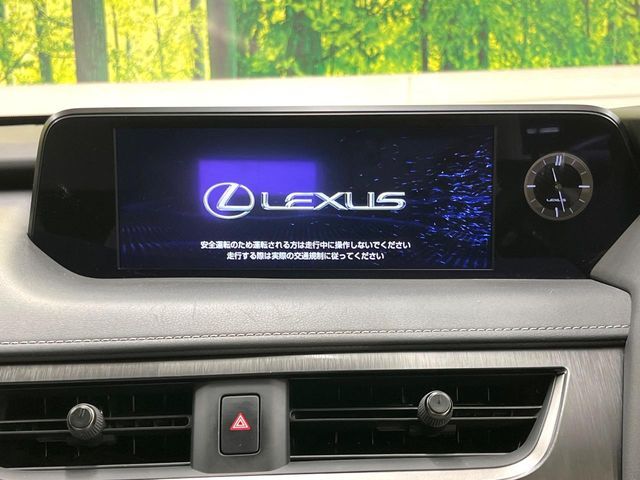 TOYOTA LEXUS UX250H 2021 Image 31