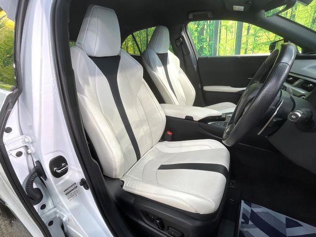TOYOTA LEXUS UX250H 2021 Image 31