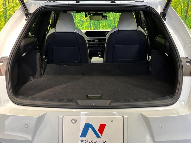 TOYOTA LEXUS UX250H 2021 Image 31