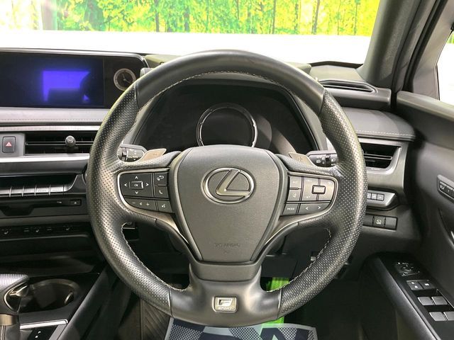 TOYOTA LEXUS UX250H 2021 Image 31