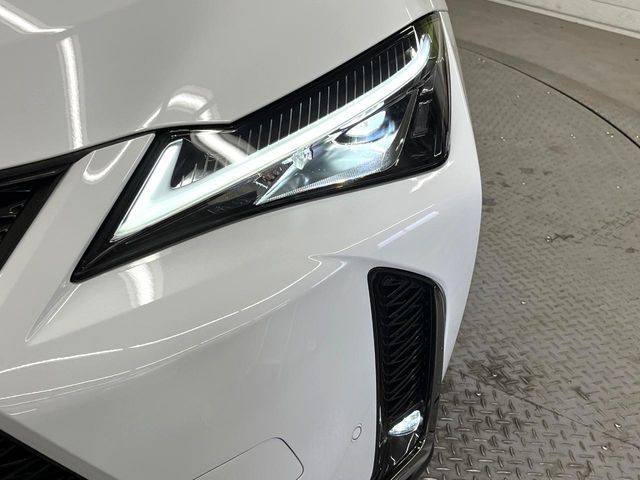 TOYOTA LEXUS UX250H 2021 Image 31