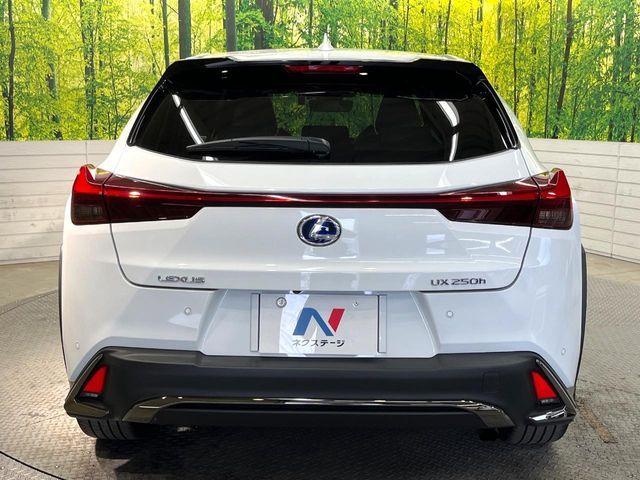 TOYOTA LEXUS UX250H 2021 Image 31