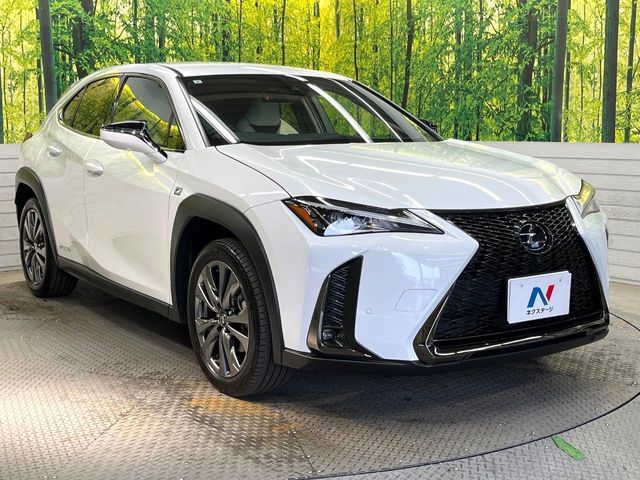 TOYOTA LEXUS UX250H 2021 Image 31
