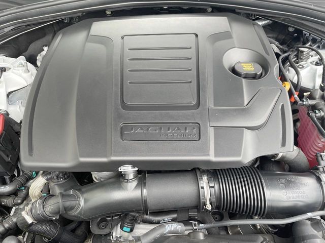 JAGUAR F-PACE 2025 Image 31