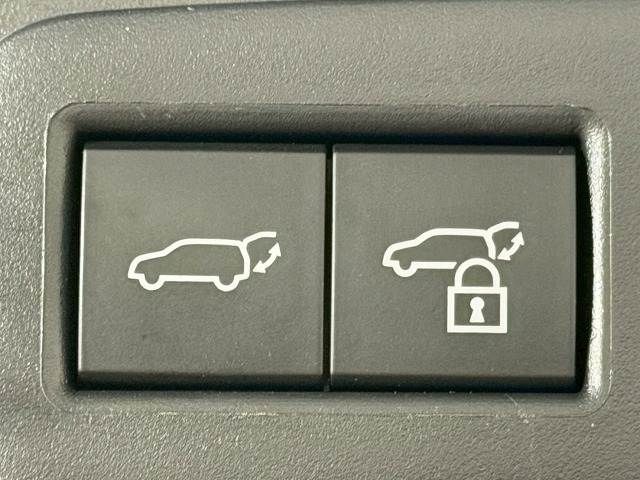 TOYOTA LEXUS UX250H 2023 Image 31