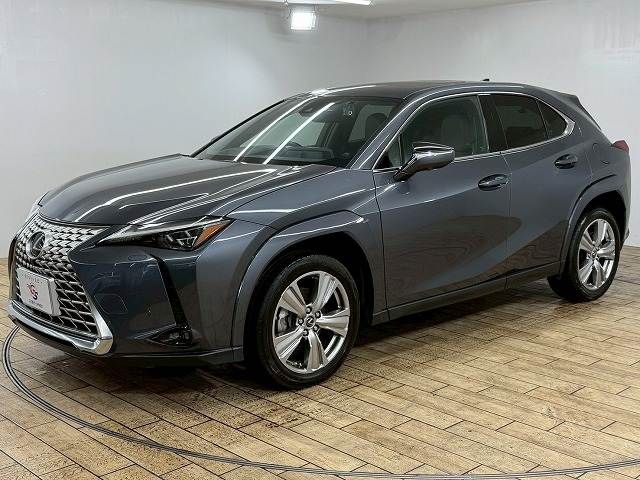 TOYOTA LEXUS UX250H 2023 Image 31