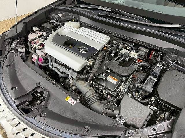 TOYOTA LEXUS UX250H 2023 Image 31