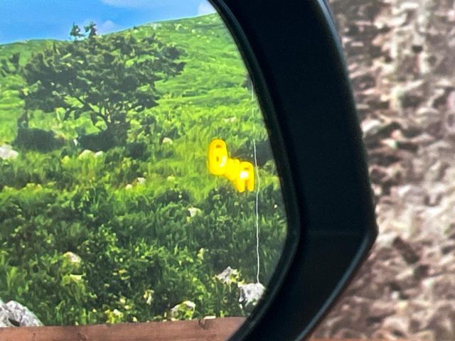 TOYOTA RAV4 4WD 2021 Image 31