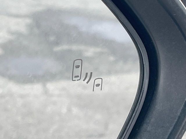 TOYOTA C-HR 2017 Image 31