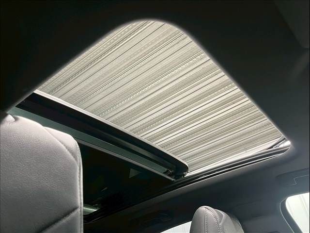 CITROEN DS7 CROSSBAC 2020 Image 31