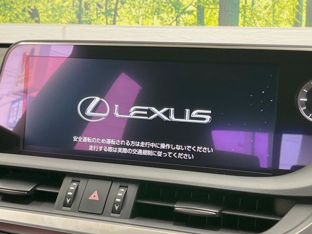 TOYOTA LEXUS ES300H 2019 Image 31