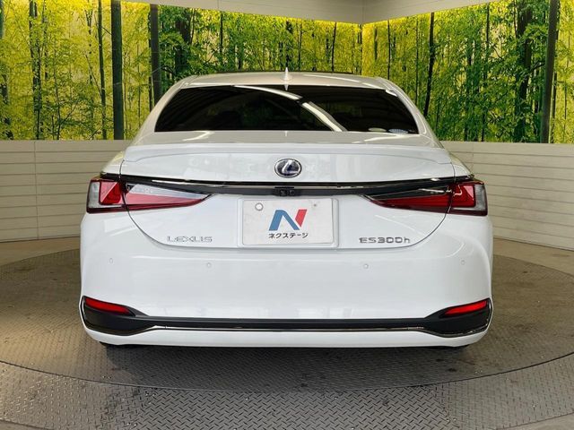 TOYOTA LEXUS ES300H 2019 Image 31