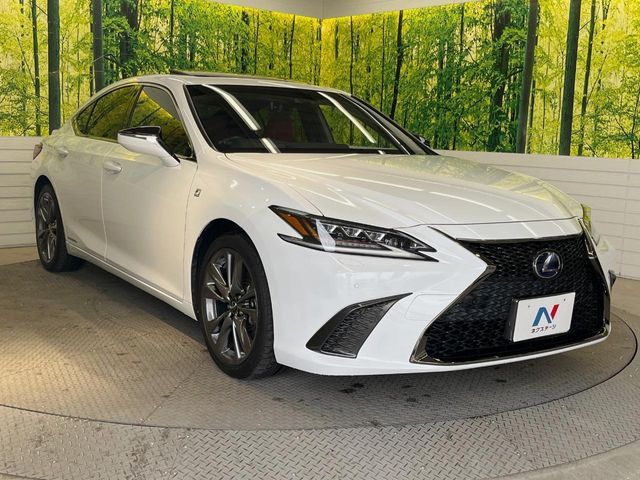 TOYOTA LEXUS ES300H 2019 Image 31