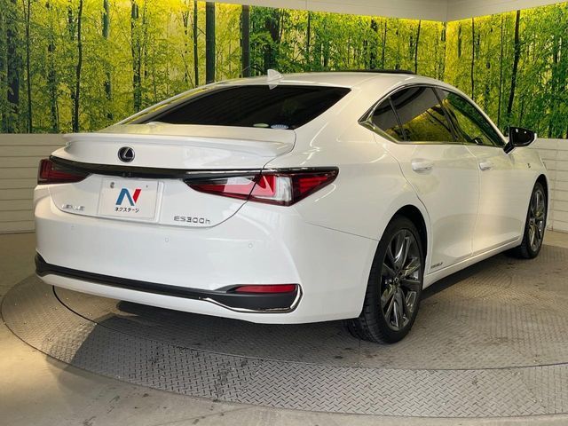 TOYOTA LEXUS ES300H 2019 Image 31