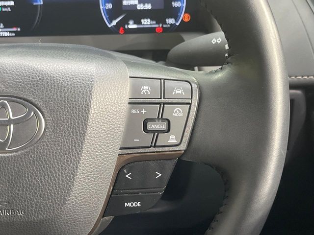 TOYOTA ALPHARD HYBRID 2025 Image 31