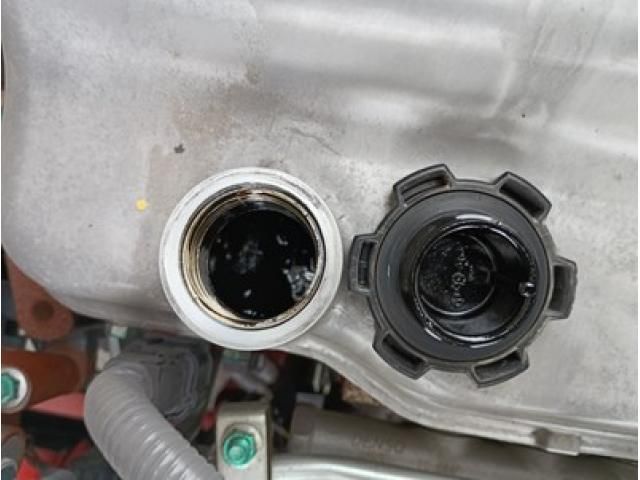 HINO RANGER 2022 Image 31