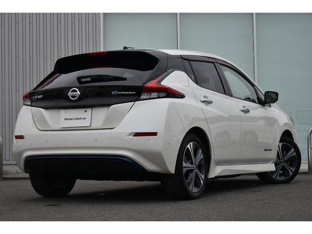 NISSAN LEAF 2019 Image 31