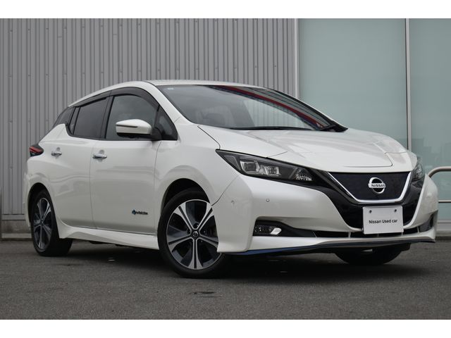 NISSAN LEAF 2019 Image 31