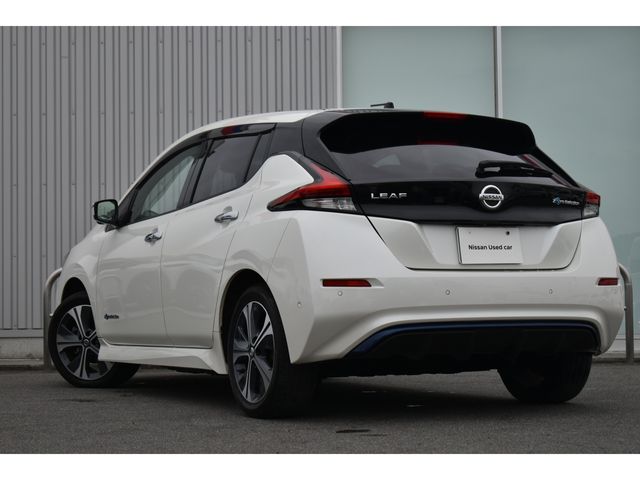 NISSAN LEAF 2019 Image 31