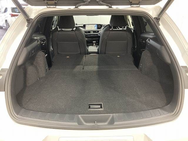 TOYOTA LEXUS UX250H 2019 Image 31