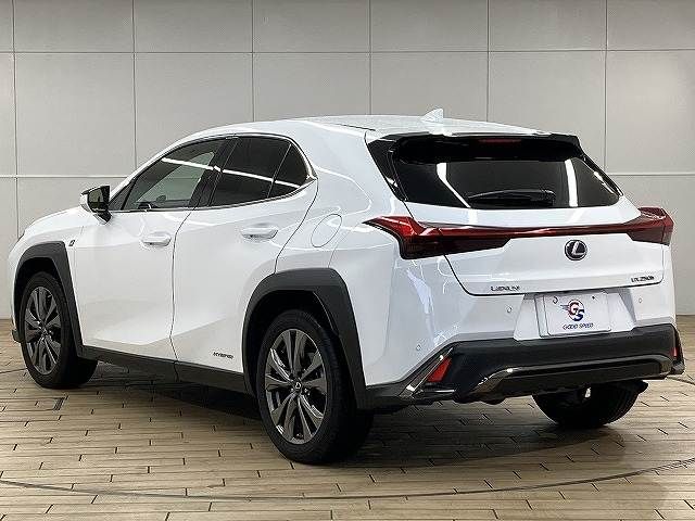TOYOTA LEXUS UX250H 2019 Image 31