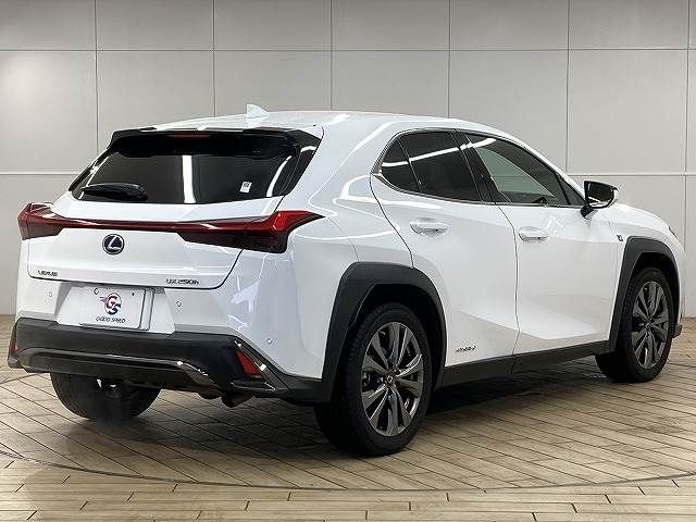 TOYOTA LEXUS UX250H 2019 Image 31