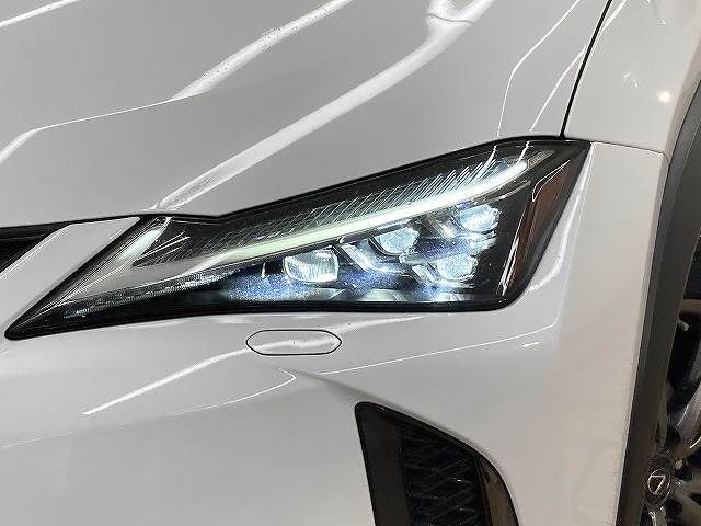 TOYOTA LEXUS UX250H 2019 Image 31