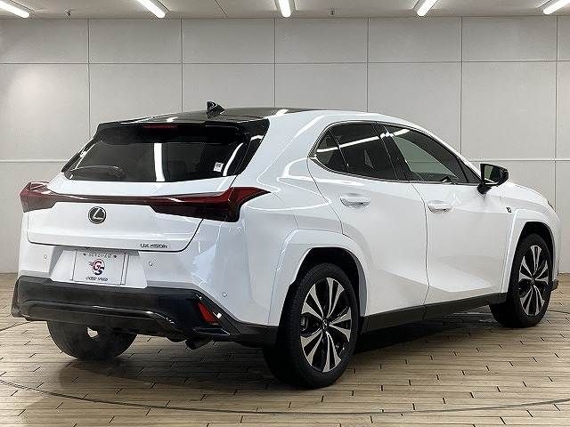 TOYOTA LEXUS UX250H 2023 Image 31