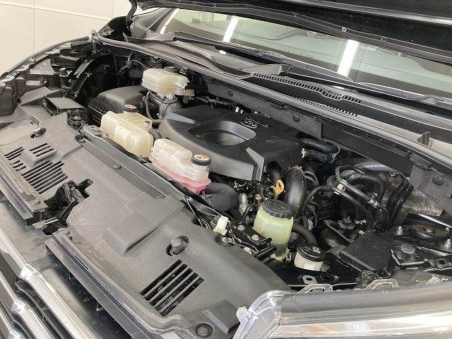 TOYOTA GRANACE 2020 Image 31