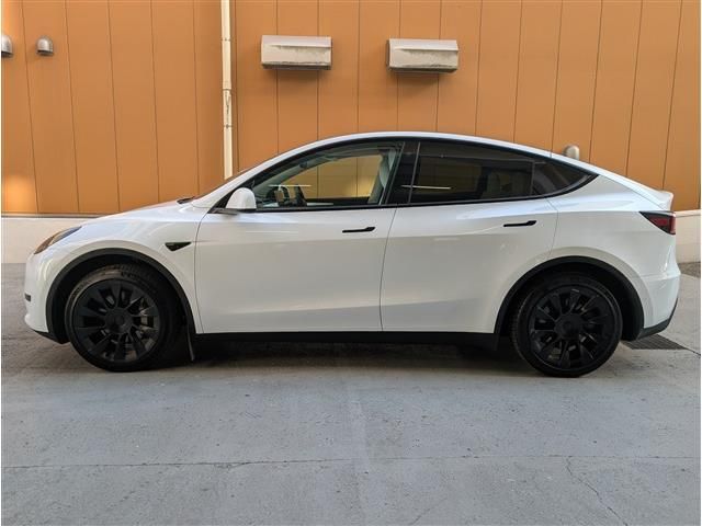 TESLA MODEL Y 2023 Image 31