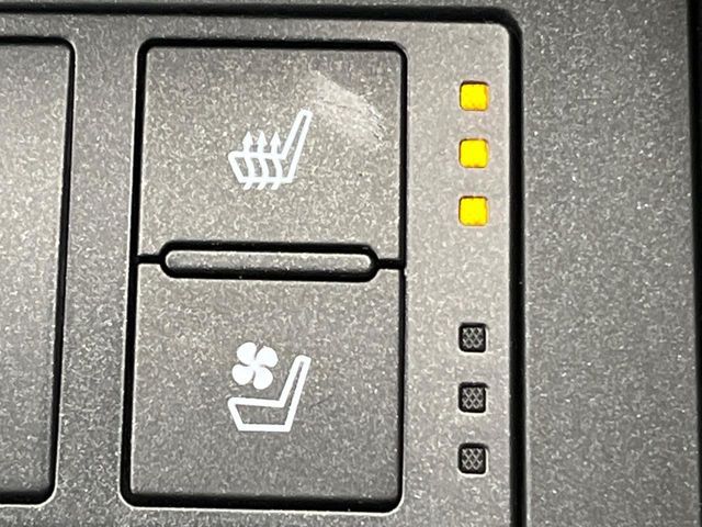 TOYOTA LEXUS IS350 2023 Image 31