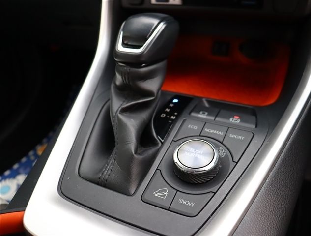 TOYOTA RAV4 4WD 2021 Image 31