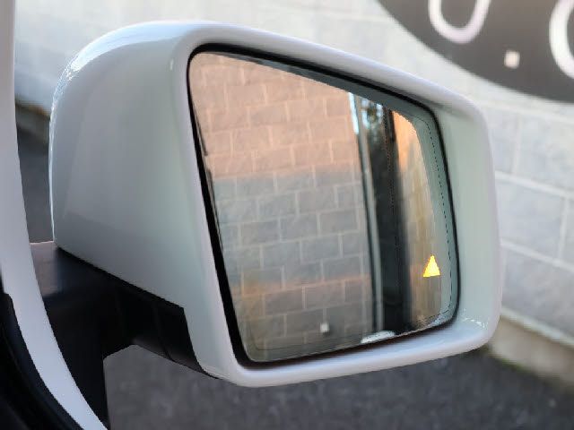 MERCEDES BENZ G CLAS 2018 Image 31