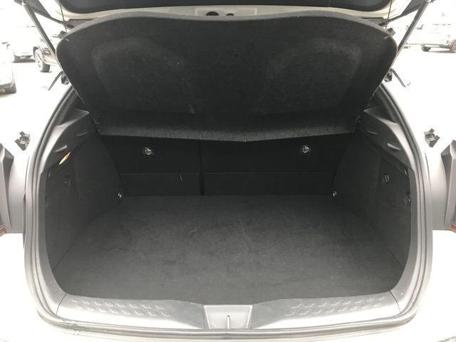 TOYOTA C-HR 2019 Image 31