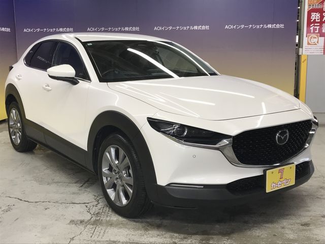 MAZDA CX-30 2023 Image 31