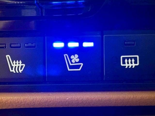 MAZDA CX-60 2022 Image 31