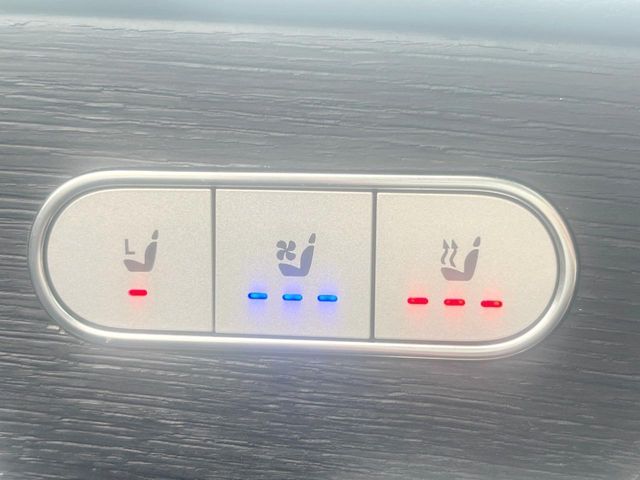 MERCEDES BENZ GLE CL 2020 Image 31