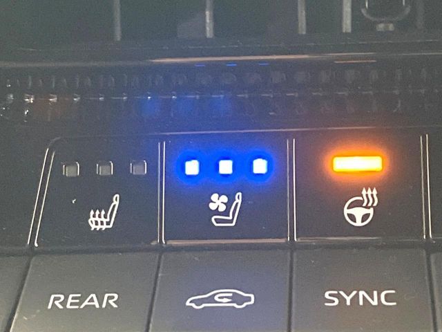 TOYOTA LANDCRUISER 250 2024 Image 31