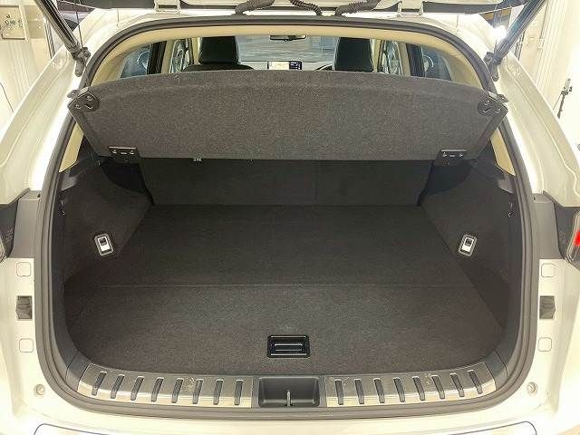 TOYOTA LEXUS NX300H 2018 Image 31