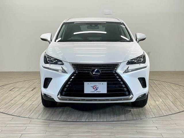 TOYOTA LEXUS NX300H 2018 Image 31