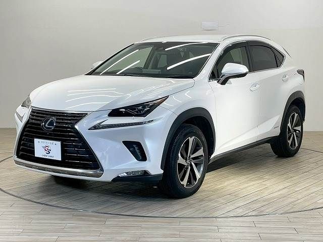 TOYOTA LEXUS NX300H 2018 Image 31