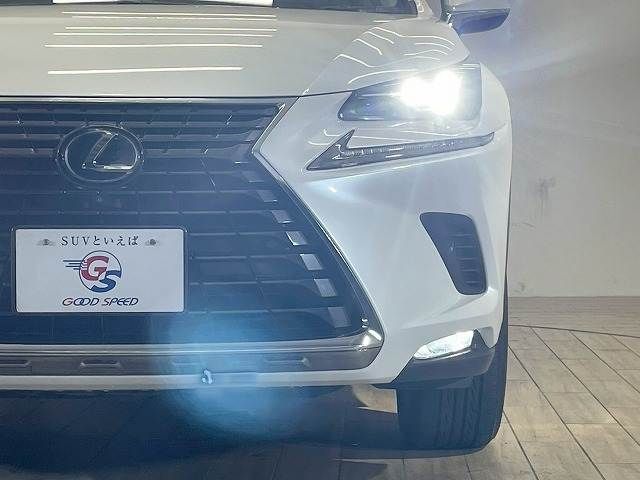 TOYOTA LEXUS NX300H 2018 Image 31