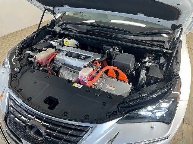 TOYOTA LEXUS NX300H 2018 Image 31