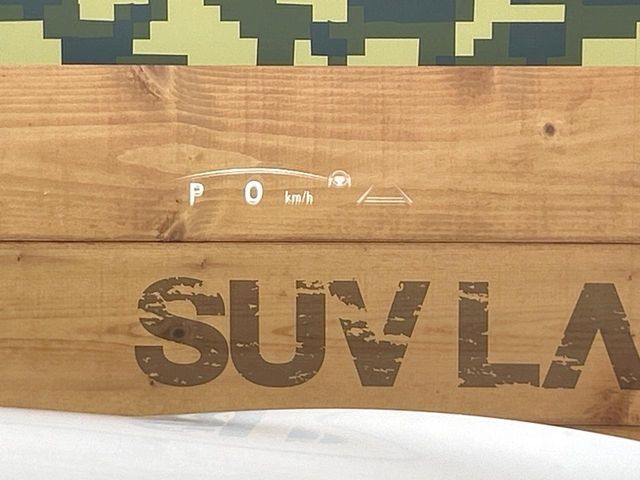 TOYOTA LEXUS NX350H 2024 Image 31