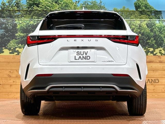 TOYOTA LEXUS NX350H 2024 Image 31