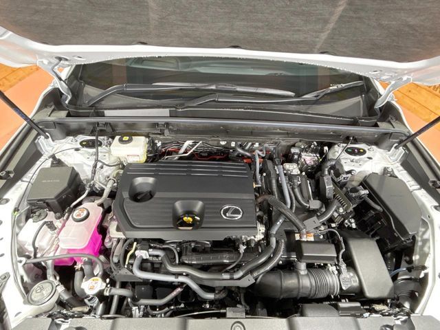 TOYOTA LEXUS NX350H 2024 Image 31