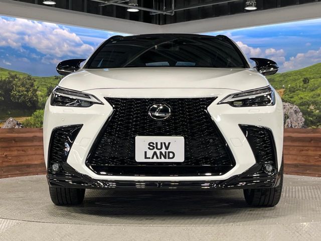 TOYOTA LEXUS NX350H 2023 Image 31