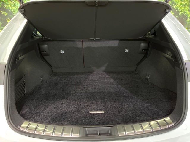 TOYOTA LEXUS NX350H 2023 Image 31